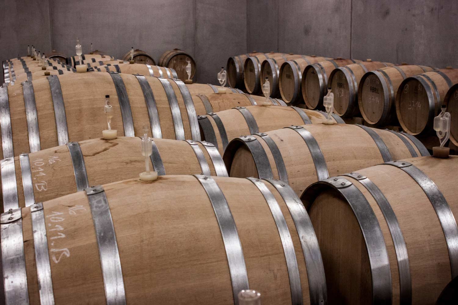 Sed ut perspiciatis unde omnis iste natus